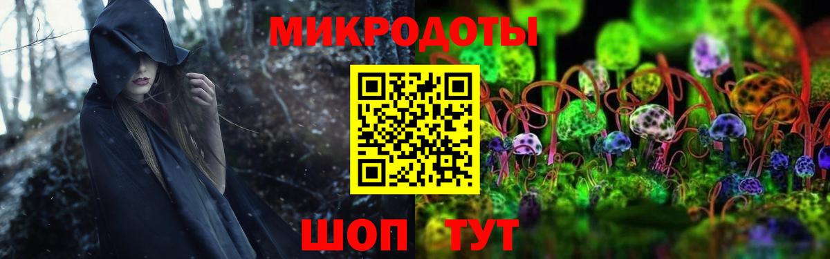 Галлюциногенные грибы GOLDEN TEACHER  Вход с VPN  Павловский Посад 