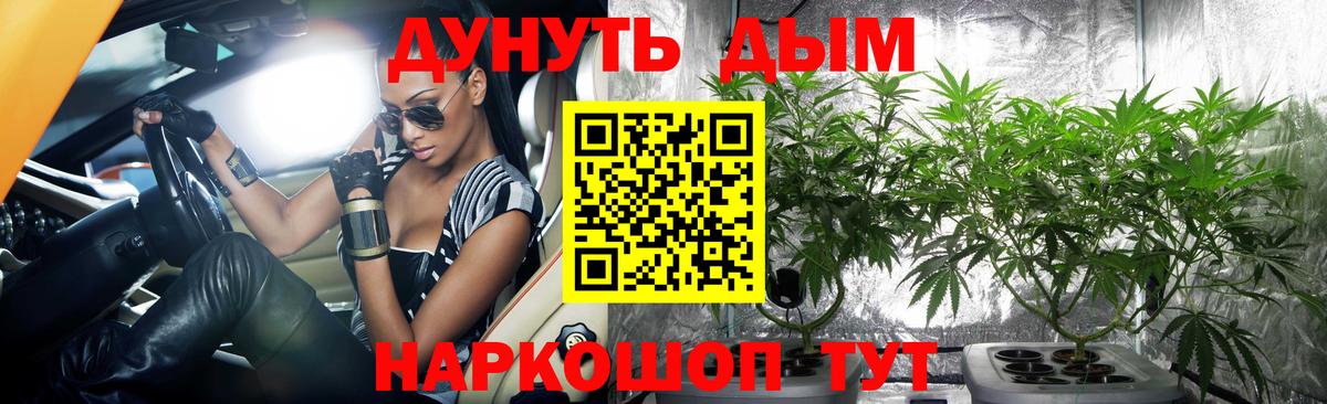Канабис конопля  Бошки Шишки SATIVA & INDICA  Вход с VPN  Павловский Посад 